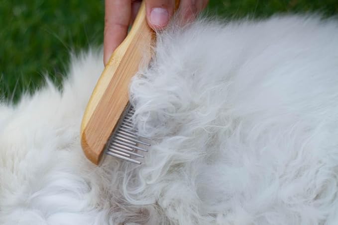 Premium Bamboo Cat Grooming Kit: Cat Brushes for Indoor Cats, Kitten Brush, and Dematting Comb for Long Haired Cats | Bamboo Grooming Supplies with kitten brush