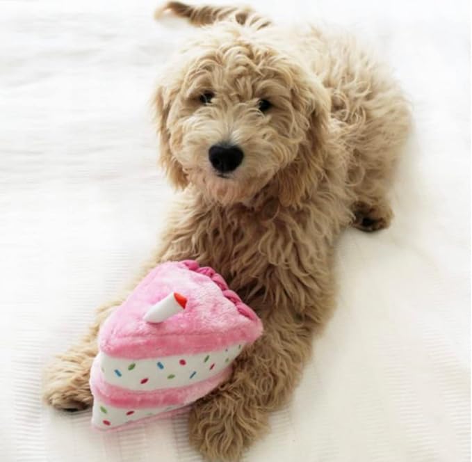 ZippyPaws Birthday Box - Dog Squeaky Toys to Keep Them Busy, Funny Food Plush for Small, Medium, & Large Dogs, Cute Stuffed Puppy Toy & Hat, Pet Products, Gift for Dogs of All Breeds - 3-Pack, Pink