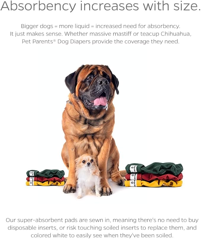 Pet Parents® Washable Dog Diapers (3pack) + Extendrs® of Durable Doggie Diapers, Premium Dog Diapers Female (Small, Samba)