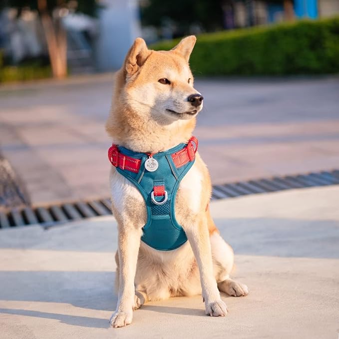 PHOEPET No Pull Dog Harness, Unique Colors Reflective Adjustable Dog Vest, with Soft Training Handle Metal Clips for Small Medium Large Dogs (Teal Base & Red Straps,XL)