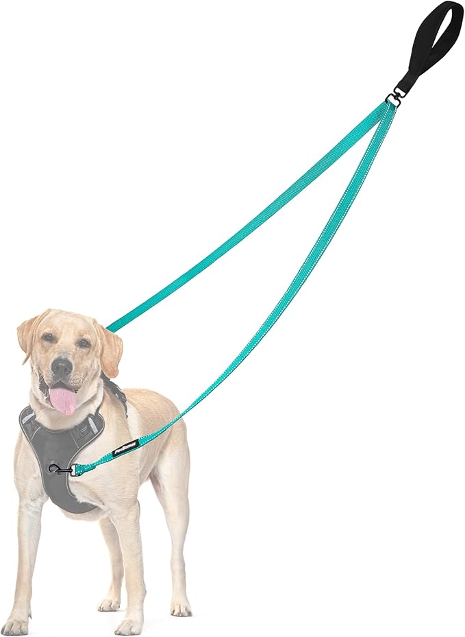 PetBonus Two Point Control Dog Leash, Works with No Pull Harnesses, No Tangle Dog Training Leashes, No Pull Padded and Reflective Walking Lead,Converts to Single Leash for Medium Large Dogs(Turquoise)