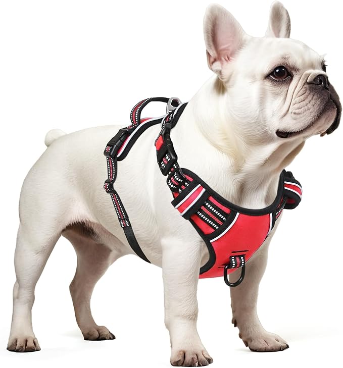 Timos Dog Harness Small Sized, No Pull with Neck Lockable Snap,No Choke Front Clip Dog Reflective Harness,Adjustable Metal Rings 3 Buckles,Easy Control Handle for Small Dogs Red S
