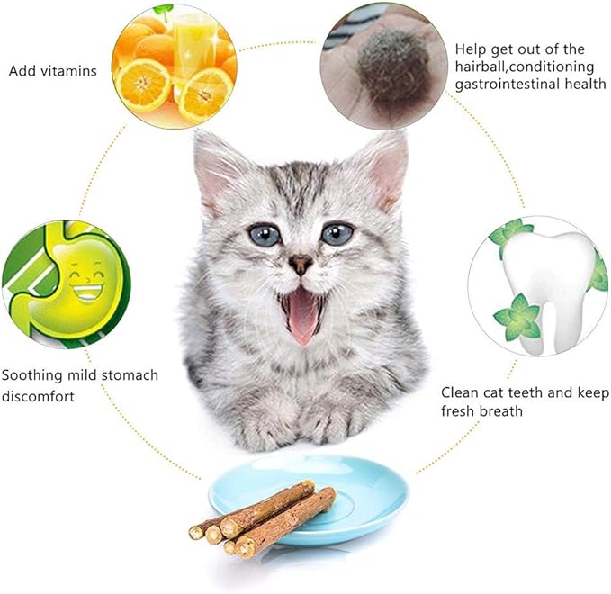 10 PCS Cat Catnip Sticks, Natural Matatabi Silvervine Sticks - Cleaning Teeth Molar Tools Kitten Chew Toy Natural Catnip Cats Toy