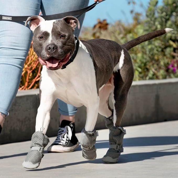 Canada Pooch Dog Boots for Hot Pavement - Dog Boots & Paw Protectors with Anti Slip Rubber | Water Friendly, Breathable Dog Shoes for Hot Days, Great for Dogs Grey - Size 5