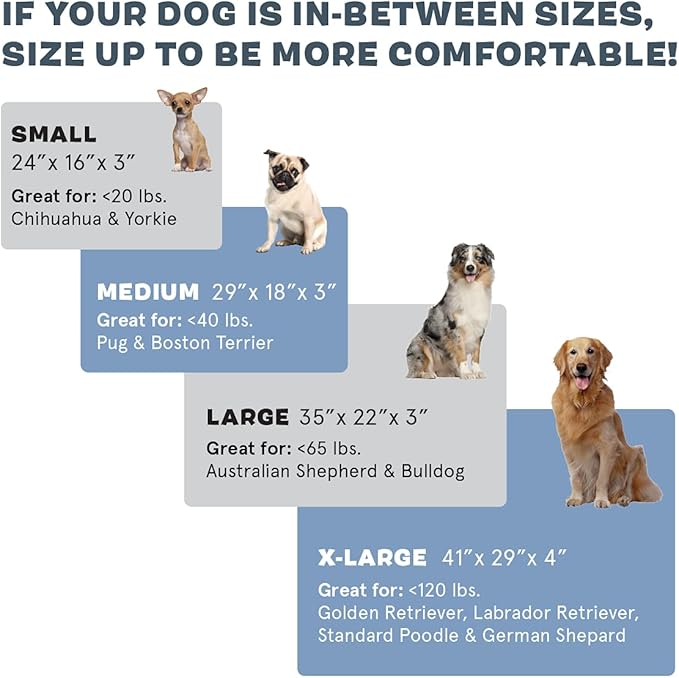 Barkbox Orthopedic Dog Bed | Comfortable Memory Foam Mattress for Joint Relief | Head and Neck Support Waterproof with Non Skid Bottom | Calming Durable Bed with Washable Cover | Small, Navy