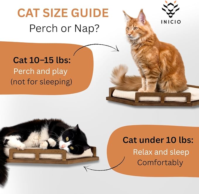 INICIO Cat Wall Shelves - Modern and Durable 3 Step Cat Furniture for Wall - Stylish Birch Floating Shelf for Cats up to 15lbs - Wooden Corner Shelves with Cushioned Perch - Brown