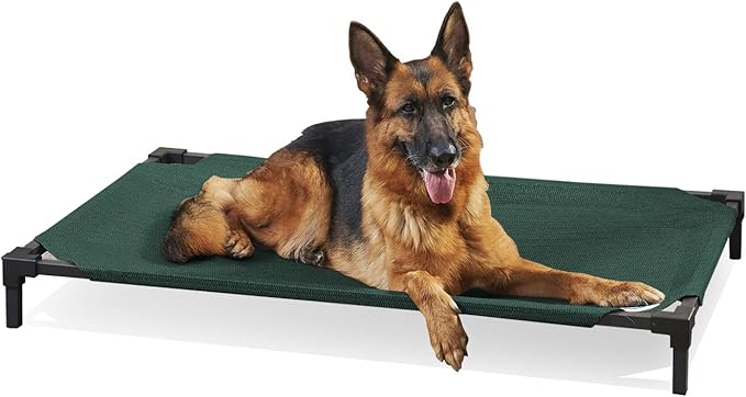 Coolaroo Pro Elevated Dog Bed - Low-Profile Access, Moisture-Resistant Cover, Breathable Fabric & Tool-Free Setup, Brunswick Green, Standard