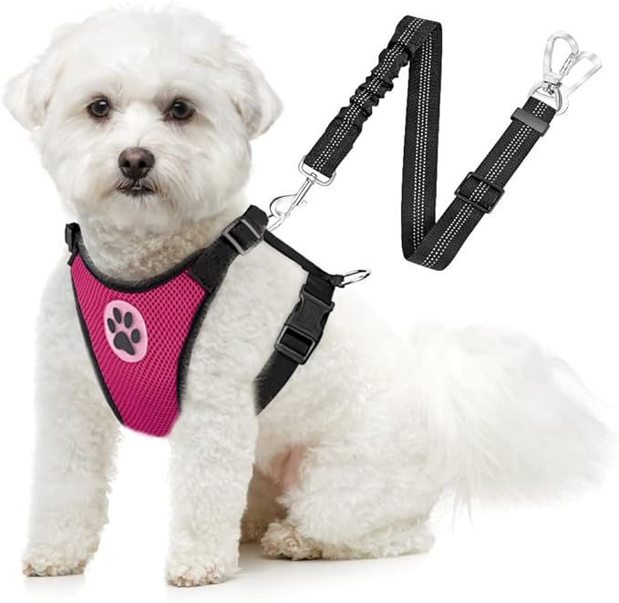 SlowTon Dog Seat Belt Harness for Car, Dog Car Harness Adjustable Mesh Breathable & Dog Seatbelt Safety Tether with Elastic Bungee for Small Medium Large Pets(Fuchsia, Double Clip, S)