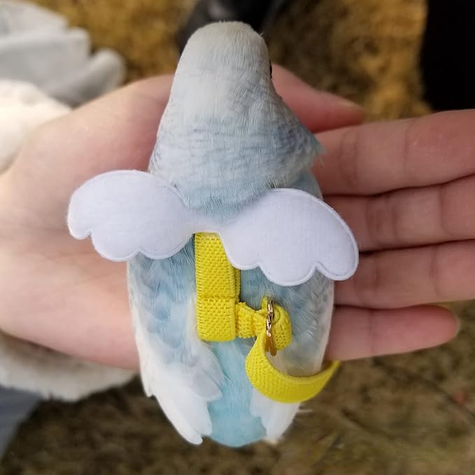 Pet Parrot Bird Harness Leash Adjustable Bird Flying Harness Traction Rope with Cute Wing for Parrots Pigeons Budgerigar Lovebird Cockatiel Mynah Outdoor Training Toy (XL, Blue)