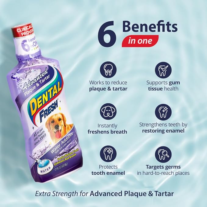 Dental Fresh Advanced Plaque and Tartar Water Additive, 8oz – Dog Teeth Cleaning Formula to Freshen Breath and Improve Overall Oral Health