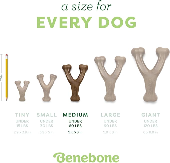 Benebone Peanut Butter Flavored Wishbone Chew Toy
