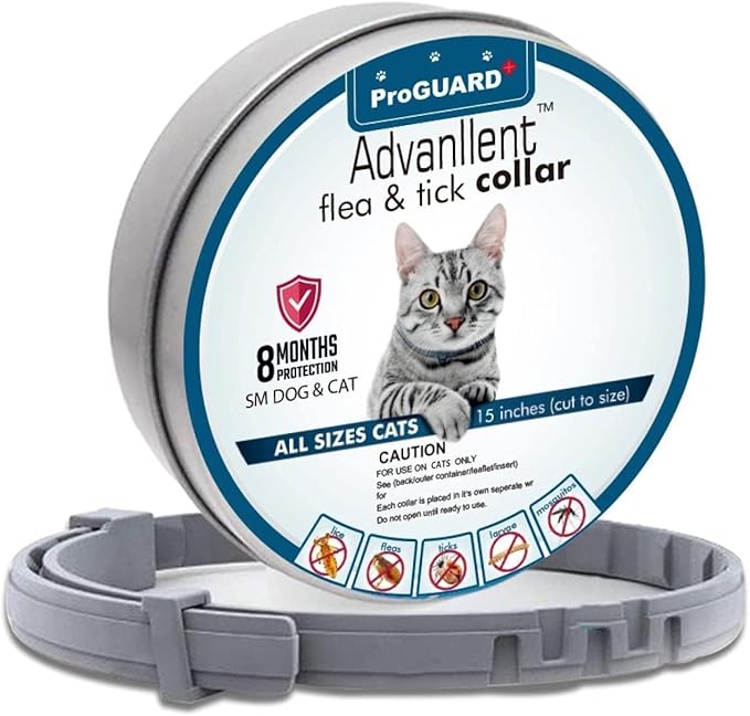 Flea Collar for Cats, Flea and Tick Collars for Cats and Kittens, 8 Month Protection, Gray, 1 Pack CAT