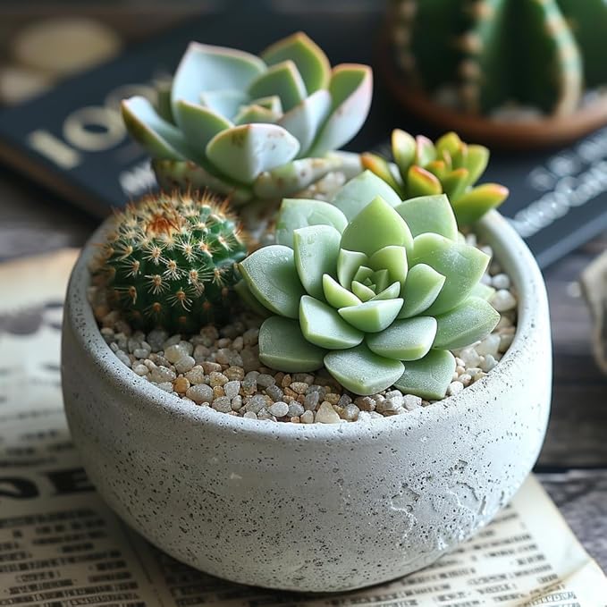 HappyFiller 18 Pound Small River Stones Decorative Tiny Pea Gravel for Aquarium Fish Tank Pebbles Rocks,Indoor Outdoor Plants Catcus Succulent Top Dressing,Zen Garden,Vase Fillers,Light Green Mix