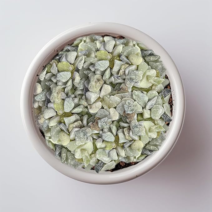 HappyFiller 18 Pound Small River Stones Decorative Tiny Pea Gravel for Aquarium Fish Tank Pebbles Rocks,Indoor Outdoor Plants Catcus Succulent Top Dressing,Zen Garden,Vase Fillers,Light Green Mix