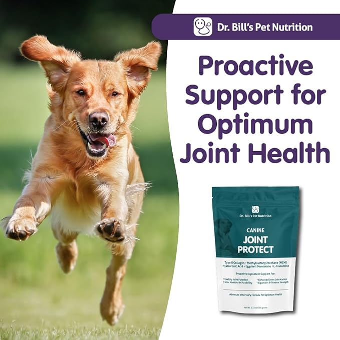 Dr. Bill’s Canine Joint Protect | Joint Support for Dogs | Pet Supplement for Ligament & Tendon Strength | Collagen Type II, Hyaluronic Acid, Eggshell Membrane and L-Glutamine