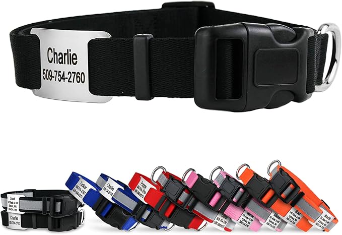 GoTags Personalized Dog Collar with Nameplate, Adjustable Dog Collar with Custom Engraved Slide On Pet ID Tag in Stainless Steel, Silent, No Noise Dog Tag for Large Medium and Small (Black, Medium)