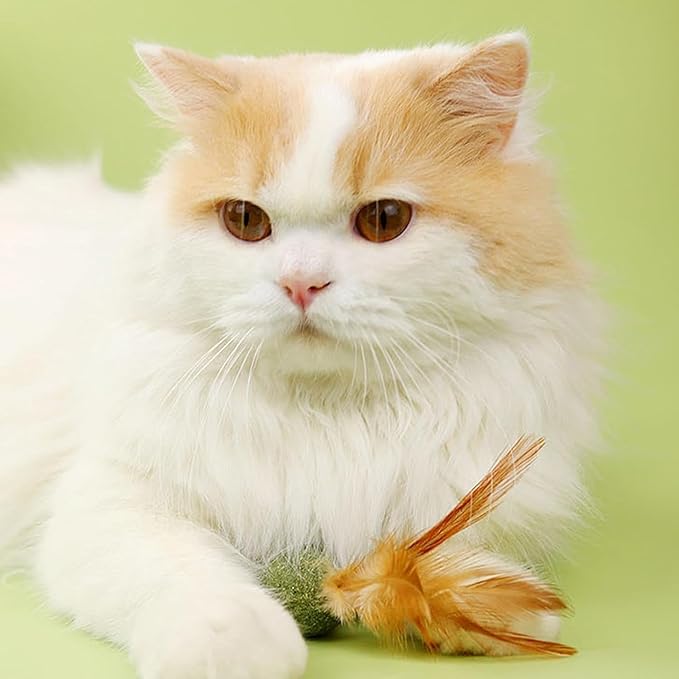 5 Pieces of Catnip Toys Ideal Catnip Ball to Stimulate Cat Exercising and Interacting Toys for Cats