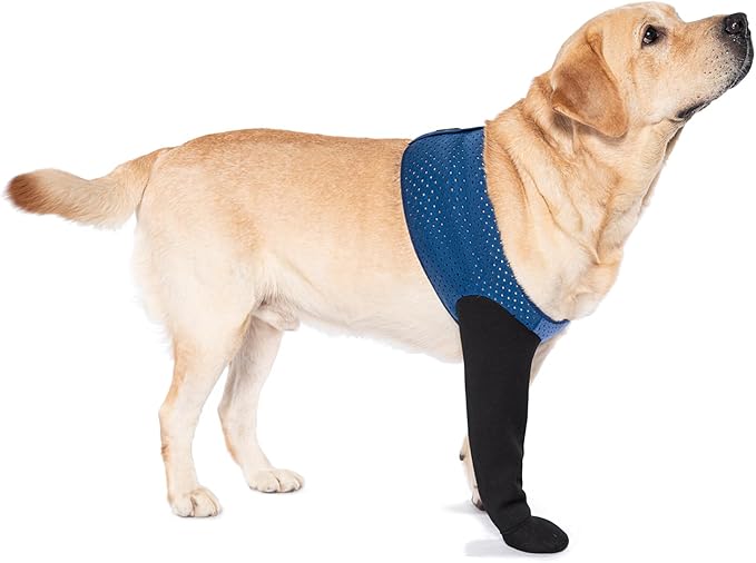 COODEO Dog Socks to Prevent Licking Paws, Healing Boots & Paw Protectors with Non-Slip Bottoms for Wound Protection, Waterproof Sleeve Shoes for Licking（Blue，2XL_Right