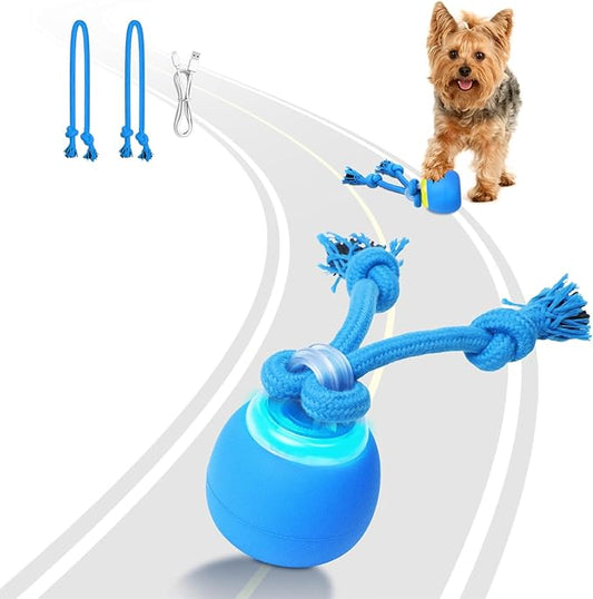 Interactive Dog Toys, Moving Dog Ball with Touch Activated, Active Rolling Ball for Puppy and Medium Dogs, Squeaky, USB Rechargeable
