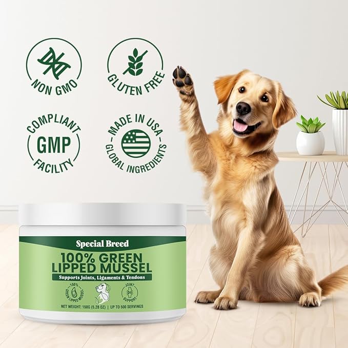 Green Lipped Mussel Powder for Dogs & Cats - 100% New Zealand Green Lipped Mussels - Natural Hip & Joint Supplement for Joints, Tendons, Ligaments, Muscles - 150 Grams - Up to 500 Servings