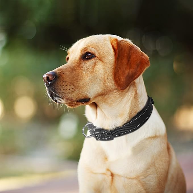 Fida Heavy Duty Dog Collar, Ultra Comfortable Soft Neoprene Padded, Adjustable Reflective Nylon Pet Collar with Durable Metal Belt Buckle for Large Breeds (L, Black)