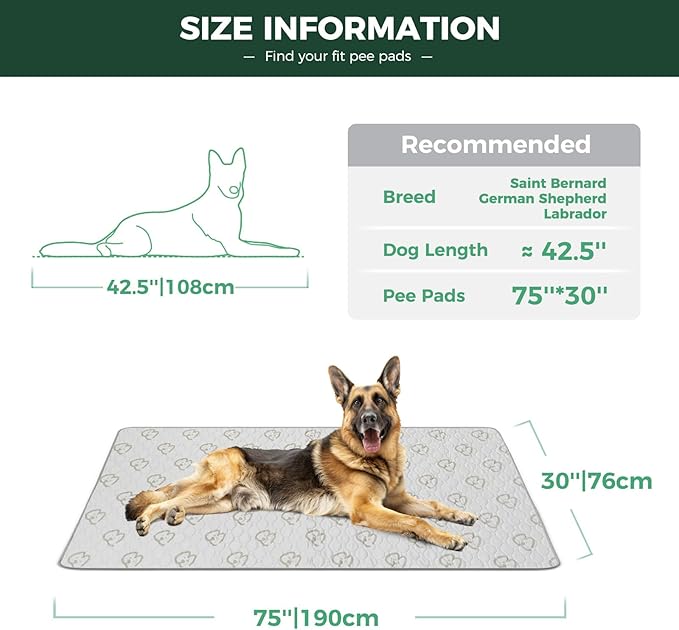 FXW Washable Pee Pads for Dogs, Puppy Pads with Super Absorbent, Specifically Designed for Potty Training, 75" × 30" Rectangle, Khaki, 2 Packs