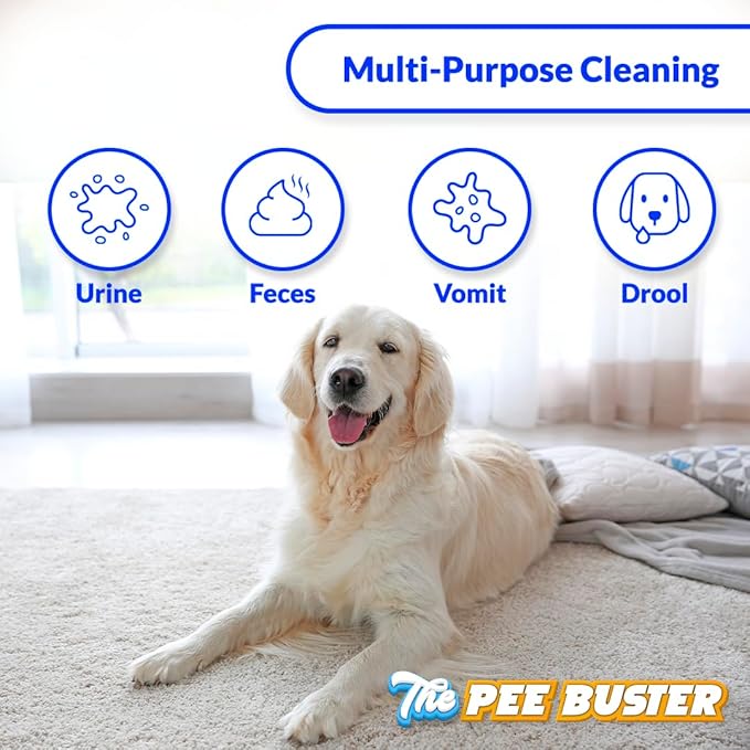 Generic Peebuster Pet Stain & Odor Remover - Cleaning Spray for Dog and Cat Urine, 1 Count (Pack of 1)