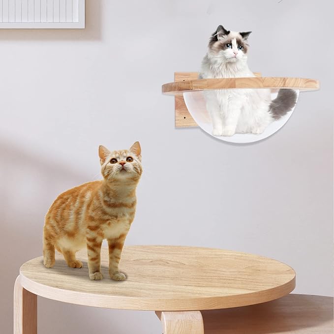 Wooden Cat Hammock, Clear Space Capsule Cat Bed, Wall-Mounted Kitten Walls Shelves Kitty Beds Small Pets Beds, Cats Toy Perch House for Sleeping, Playing, Climbing and Lounging