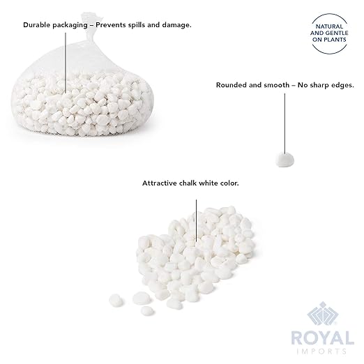 Royal Imports 5LB Decorative Stones River Pebbles Painting Rocks for Fish Aquariums, Plant Gravel, Landscaping, Home Decor Natural - Large White