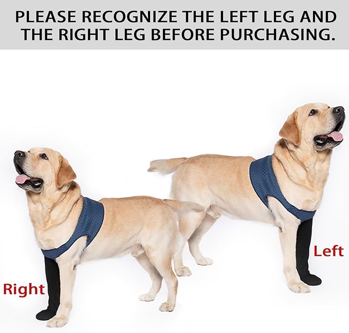 COODEO Dog Socks to Prevent Licking Paws, Healing Boots & Paw Protectors with Non-Slip Bottoms for Wound Protection, Waterproof Sleeve Shoes for Licking（Blue，XL_Right