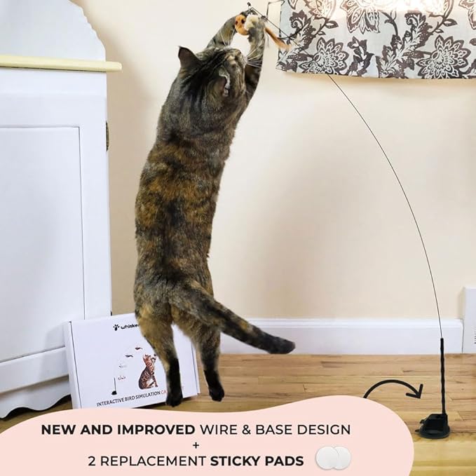 Interactive Bird Simulation Cat Toy Set, Interactive Cat Toys for Indoor Cats, Cat Feather Toy, Self-Holding Suction Base, 5 Replacement Birds, Feathers & Bells, Realistic Bird Impression