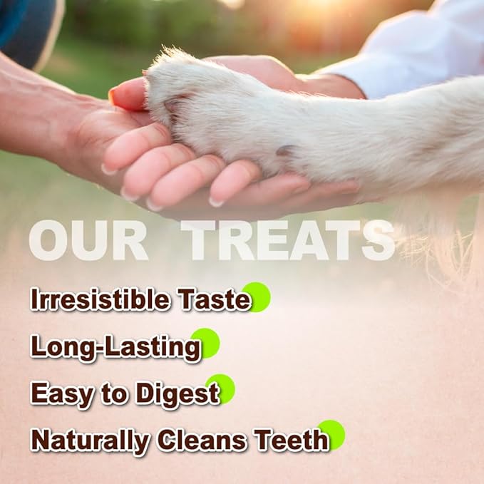 Afreschi Natural Turkey Tendon Lollipop 40 Units/Box, Dog Treat for Signature Series, All Natural Human Grade Puppy Chew, USA-Sourced Turkey Tendon, Rawhide Alternative