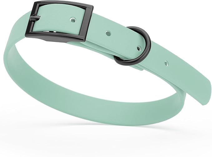 Dogline Biothane Waterproof Dog Collar Strong Coated Nylon Webbing with Black Hardware Odor- Proof for Easy Care Easy to Clean High Performance Fits Small Medium or Large Dogs, Sage Green