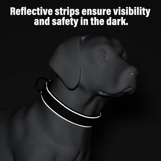 Plutus Pet Tactical Dog Collar, Reflective, Adjustable Heavy Duty Dog Collar, Soft Padded and Comfortable, for Small Medium and Large Dogs (Black, L)