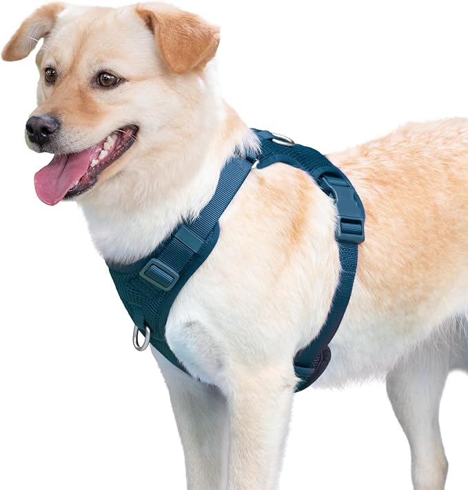 No Pull Dog Harness for Small Medium Large Dogs - Adjustable Two-Layer Mesh Dog Vest with Dual Clip, Escape Proof, Quick Release, Lightweight Breathable Mesh for Walking Hiking (Prussian Blue,S)