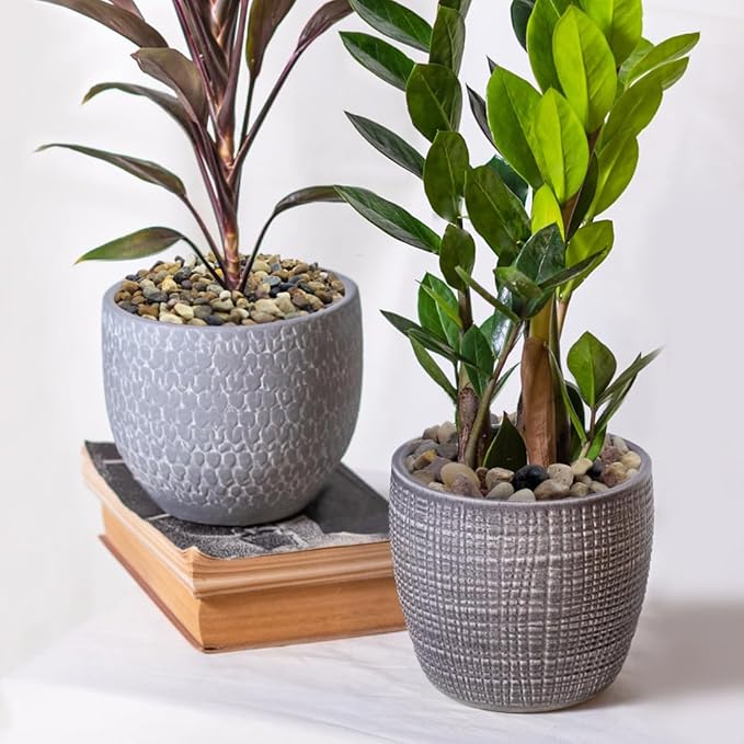 2lbs Natural River Rocks, 1/4" Aquarium Gravel Succulent Cactus Pea Gravel for Plants, Fish Tank, Decorative Pebbles for Gardening, Flower Pots, Vase Fillers, Indoor Water Fountains, Landscaping