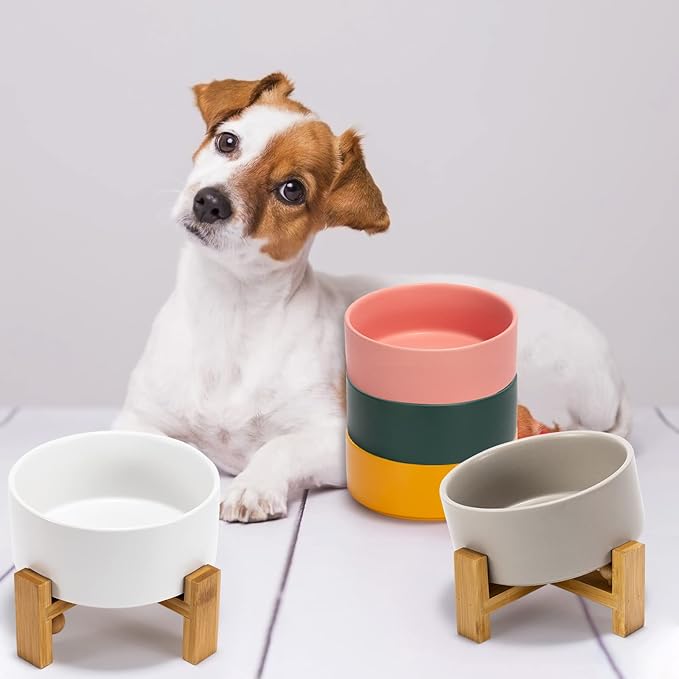 SPUNKYJUNKY 15° Slanted Ceramic Dog and Cat Bowl with Wooden Stand, Tilted Bulldog Food and Water Bowl No Slip Non-Spill for Cats Medium Dogs Big Face Pets 28.7 OZ (3.6 Cups, Morandi Green)