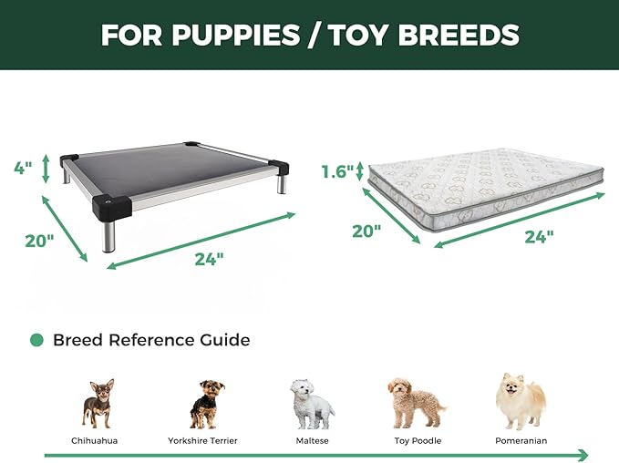 FXW TitanNest Chew-Proof Elevated Dog Bed, Raised Cot for Indoor/Outdoor/Camping Use, Durable & Washable Padded Pet Bed with Exclusive Reuseable Cover for Toy Dogs, 24.0" L x 20.0" W x 4.1" H, Gray