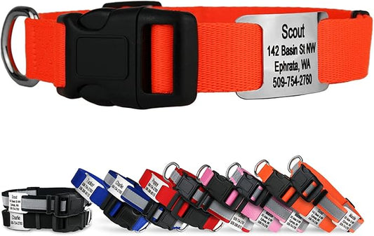 GoTags Personalized Dog Collar with Nameplate, Adjustable Dog Collar with Custom Engraved Slide On Pet ID Tag in Stainless Steel, Silent, No Noise Dog Tag for Large Medium and Small (Orange, Small)