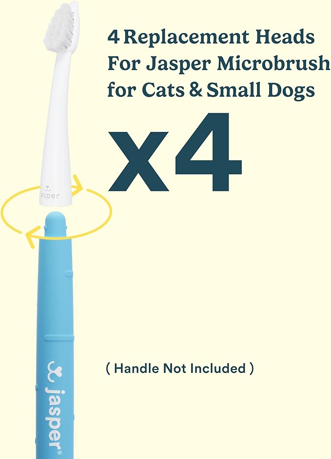 Jasper Microbrush Cat Toothbrush, Soft-Bristled Toothbrush Kit for Felines & Small Dogs, Non-Slip Handle with 2 Replaceable Brush Heads, Use with Cat Toothpaste (Microbrush, Brush Heads Only)