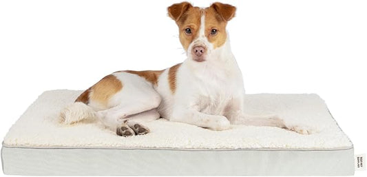 Best Pet Supplies Cute Dog Crate Mat Flat Bed with Waterproof Exterior, Thick Orthopedic Egg Foam Mattress, and Soft Sherpa Fleece Cover for Small, Medium, and Large Breeds - Beige, 41X29X4