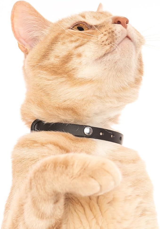 3 Pack Breakaway Cat Collar - Soft, Comfortable, and Lightweight Safety Buckle Collar with Name Tag Ring for Outdoor Cats and Sensitive Skin Kittens by Nuvuq (6 ⅞" to 10 ¼", Blue, Pink and Black)