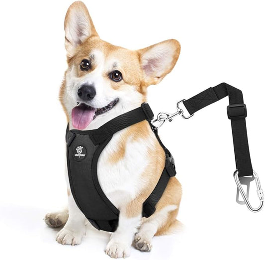 Dog Seat Belt, Safety Vest Dog Car Harness with Adjustable Buckle Dog Seat Belt for Vehicle Nylon Pet Safety Seat Belts Heavy Duty(M, Black)
