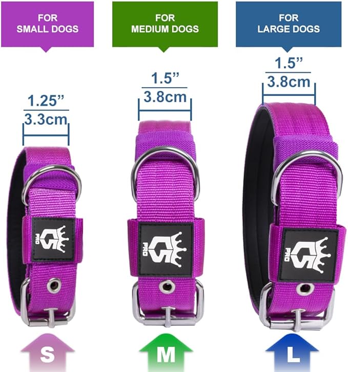 TSPRO Tactical Dog Collar 1.25 Inch Wide Thick Dog Collars with Heavy Duty Metal Buckle, Durable, Strong, Adjustable for Small Dogs (Silver S)