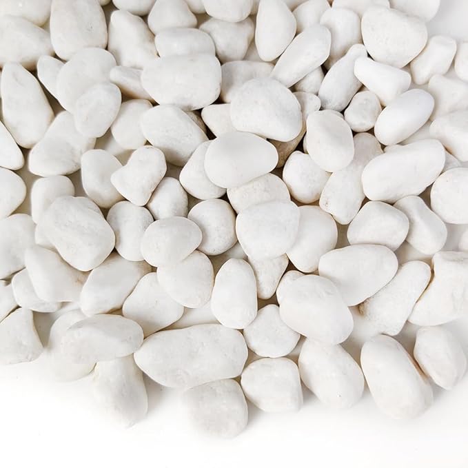 HappyFiller 18 LB White Gravels Small Terrarium Rocks Stones for Bamboo,Cactus,Vase Fillers,Succulents Plants,Landscaping,Aquarium,Zen Garden,1 Inch