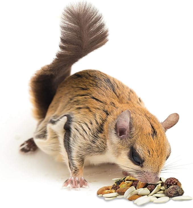 Squirrel Complete (4 lb.) - Healthy Natural Food - Nutritionally Complete Diet for Squirrels - Ground, Grey, and Flying Squirrels