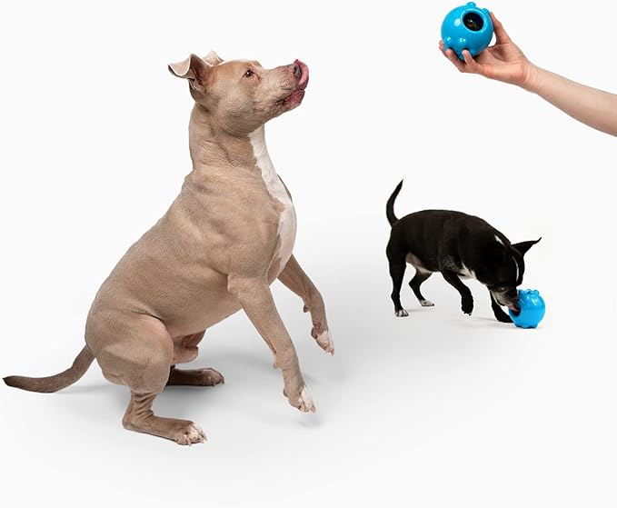 Jolly Pets Jolly Dipper Treat Dispensing Dog Toy; 3'' Small/Medium Dogs, Blue (Pack of 2)
