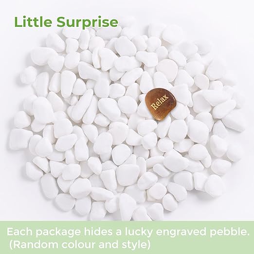 SIDONG 5 LB White River Rocks, 0.3-0.5 Inches Matte Pebbles for Indoor Plants, Aquarium Rocks Used in Fish Tank, Decorative Stones for Plants, Vases, Home Décor, Crafting, Garden Landscaping