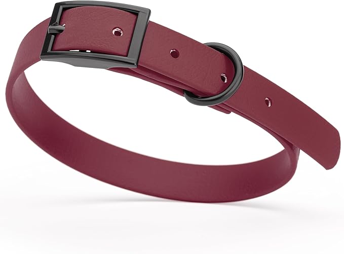 Dogline Biothane Waterproof Dog Collar Strong Coated Nylon Webbing with Black Hardware Odor- Proof for Easy Care Easy to Clean High Performance Fits Small Medium or Large Dogs, Merlot Burgundy