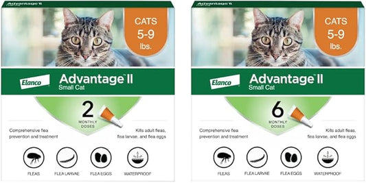 Advantage II Small Cat Vet-Recommended Flea Treatment & Prevention | Cats 5-9 lbs. | 8-Month Supply